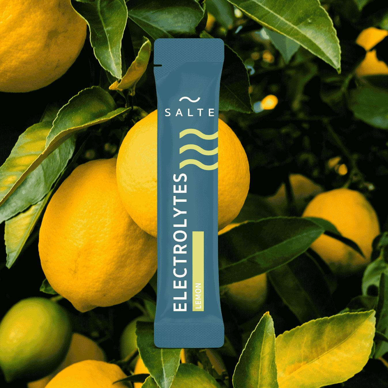 Hydration Sticks – 1 und